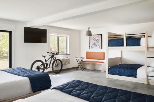 丝兰谷Field Station Joshua Tree的一间带两张双层床的卧室和自行车