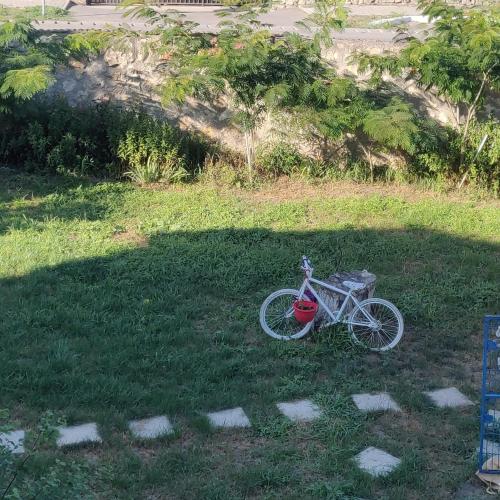 MurfatlarAdriana的停在草地上的自行车