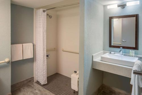 奥斯汀奥斯汀西北部希尔顿逸林酒店 - 树木园的一间带水槽和镜子的浴室