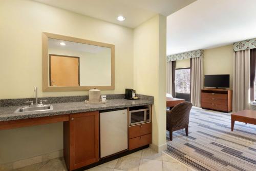 伯明翰伯明翰机场区汉普顿套房酒店的一间带水槽和镜子的浴室和一间客厅