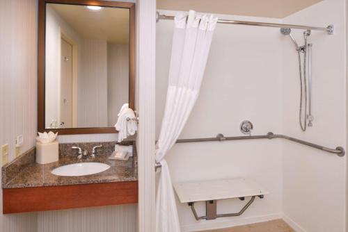 怀特马什怀特马什希尔顿花园酒店的一间带水槽和镜子的浴室