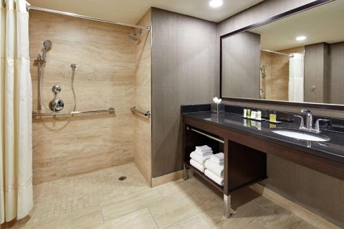 休斯顿希尔顿休斯敦广场/医疗中心酒店的一间带水槽和淋浴的浴室