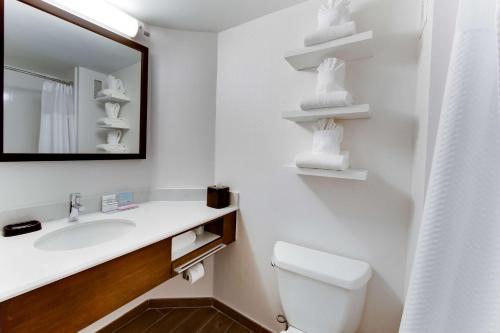 哈里森堡哈里森堡大学希尔顿恒庭酒店的一间带水槽、镜子和卫生间的浴室