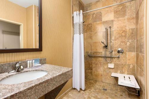 威奇托东威奇托汉普顿酒店的一间带水槽和淋浴的浴室