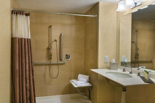 洛杉矶洛杉矶市中心希尔顿逸林酒店的一间带水槽和淋浴的浴室