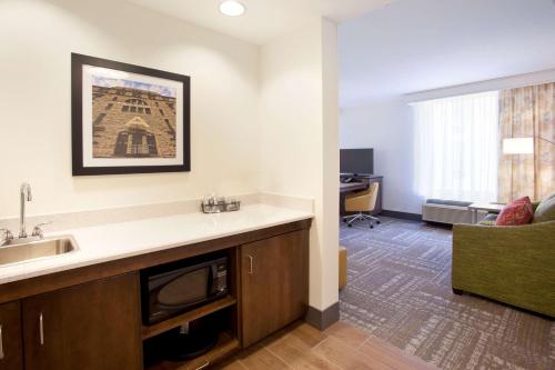 明尼阿波利斯汉普顿宾馆及套房酒店 - 明尼阿波利斯/市中心的一个带水槽的厨房和一间客厅