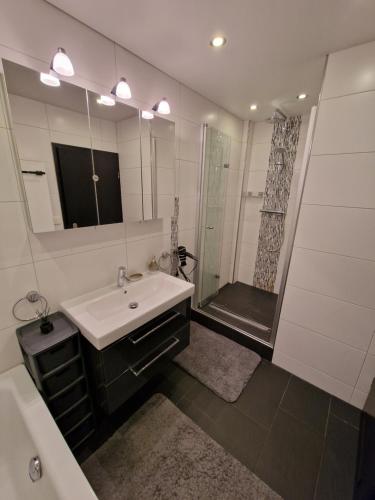 汉诺威Spa Lounge Hannover的一间带水槽、淋浴和镜子的浴室