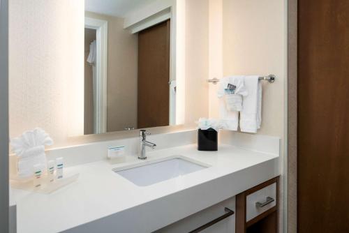 盐湖城盐湖城市中心希尔顿惠庭套房酒店的浴室设有白色水槽和镜子