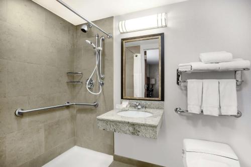 纽约西35街希尔顿花园旅馆的一间带卫生间、水槽和镜子的浴室
