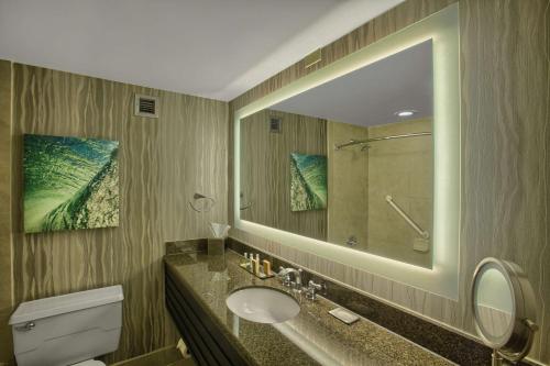 奥兰多希尔顿逸林酒店 - 奥兰多环球影城入口的一间带水槽、卫生间和镜子的浴室