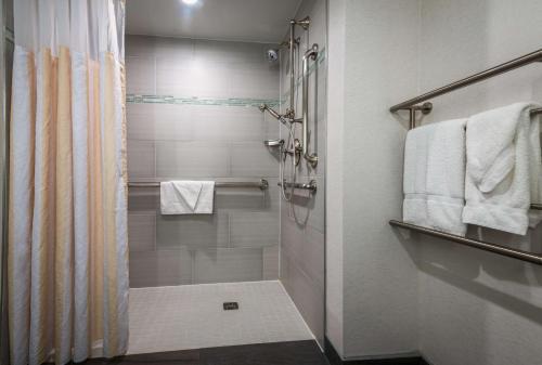 阿林顿里根国家机场希尔顿花园酒店的带淋浴和浴帘的浴室
