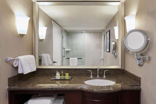 盐湖城盐湖城机场希尔顿逸林酒店的一间带水槽和镜子的浴室