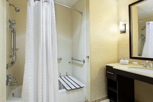 奥兰多奥兰多机场希尔顿惠庭套房酒店的浴室配有淋浴帘和盥洗盆。