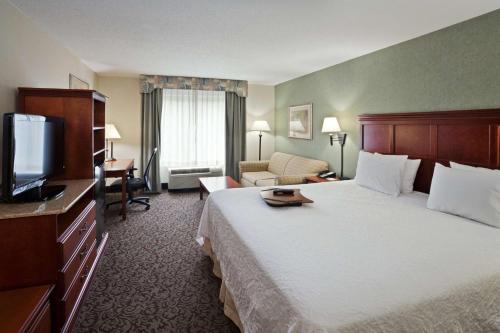 伊萨卡汉普顿宜特艾卡旅馆的配有一张床和一台平面电视的酒店客房