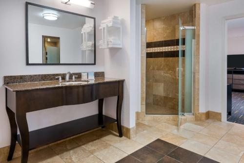 布法罗水牛城市中心汉普顿套房酒店的一间带水槽和淋浴的浴室