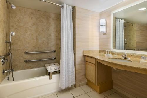奥兰多奥兰多环球影城希尔顿霍姆伍德套房酒店的带浴缸、水槽和淋浴的浴室