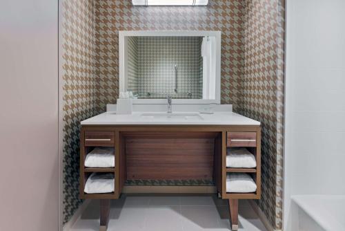 奥兰多Home2 Suites By Hilton Orlando Near Universal的一间带水槽和镜子的浴室