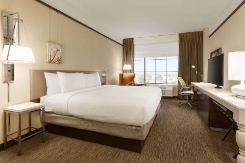 夏洛特夏洛特南园希尔顿花园酒店的配有一张床和一张书桌的酒店客房