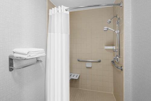 凤凰城凤凰城汉普顿酒店 - 比尔特莫尔的带淋浴的浴室和玻璃门