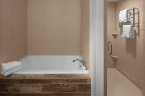 盐湖城盐湖城机场希尔顿花园酒店 的设有带浴缸和淋浴的浴室。