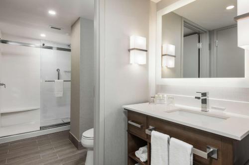 渥太华Homewood Suites By Hilton Ottawa Downtown的一间带水槽、卫生间和镜子的浴室