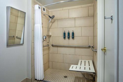 格林维尔格林维尔希尔顿酒店的带淋浴的浴室和长凳