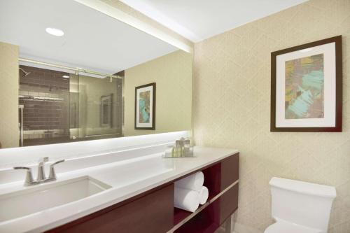 休斯顿DoubleTree by Hilton Hotel & Suites Houston by the Galleria的一间带水槽、卫生间和镜子的浴室