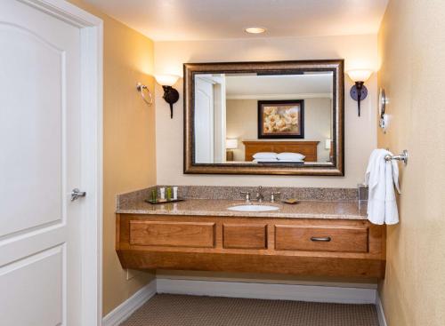 凤凰城Hilton Phoenix Resort at the Peak的一间带水槽和镜子的浴室