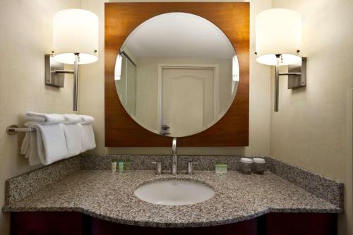 巴尔的摩巴尔的摩希尔顿惠庭套房酒店的一间带水槽和镜子的浴室