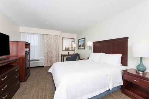 东兰辛东兰辛汉普顿酒店的配有一张床和一台平面电视的酒店客房