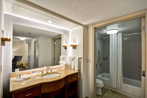 圣安东尼奥圣安东尼奥西北希尔顿惠庭套房酒店的一间带水槽、卫生间和镜子的浴室