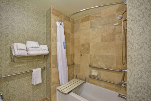 萨凡纳萨凡纳历史区汉普顿套房酒店的浴室配有浴缸、淋浴和毛巾。