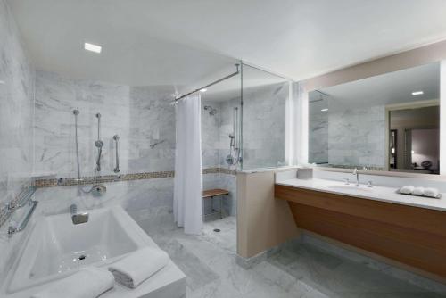 盐湖城盐湖城市中心希尔顿酒店的带浴缸、淋浴和盥洗盆的浴室