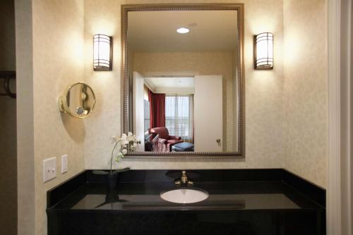 斯普林菲尔德亚伯拉罕林肯总统 - 希尔顿逸林酒店的一间带水槽和镜子的浴室