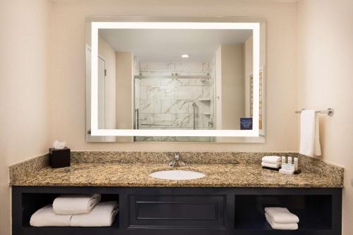 亚特兰大Embassy Suites by Hilton Atlanta Buckhead的一间带水槽和大镜子的浴室