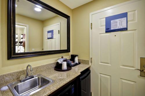 查尔斯顿查尔斯顿汉普顿酒店的一间带水槽和镜子的浴室
