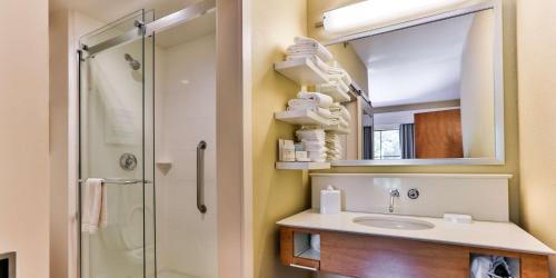 查尔斯顿查尔斯顿-丹尼尔岛汉普顿酒店的浴室配有盥洗盆和带镜子的淋浴