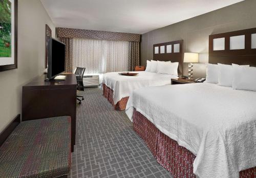 卡尔加里汉普顿希尔顿卡尔加里机场北酒店的酒店客房设有两张床和一台平面电视。