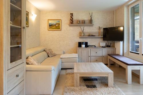 戈雷尼斯卡地区采尔克列Apartma Krvavec的带沙发和电视的客厅