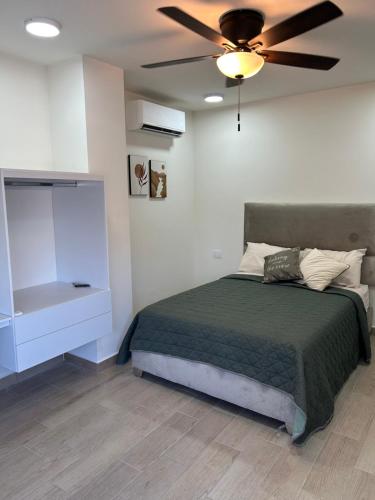 蒙特雷Casa Nórdica - Monterrey的一间卧室配有一张床和吊扇
