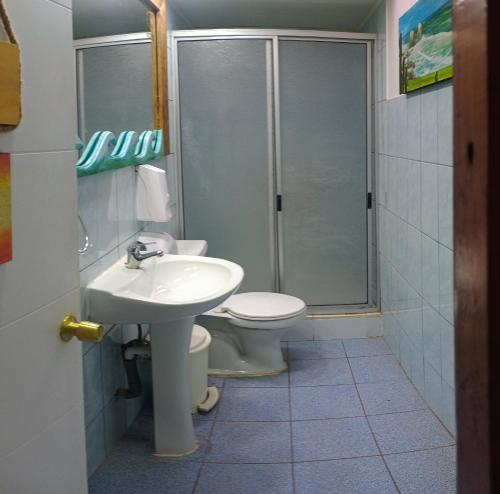 皮奇勒姆Hostal OlaBrava的浴室配有卫生间、盥洗盆和淋浴。