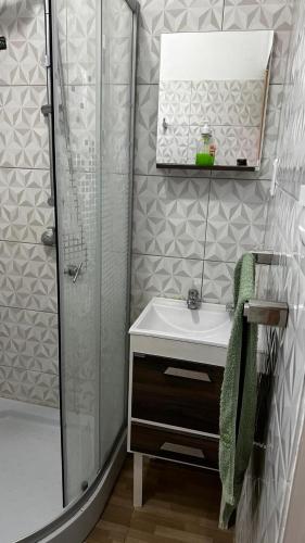 杜拉斯诺La Posada del Viajero的带淋浴、盥洗盆和镜子的浴室