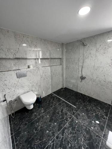 NilüferLumiera Suites Hotel的一间带卫生间和淋浴的浴室
