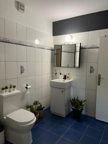 利马索尔Green Door Apartment的一间带卫生间、水槽和镜子的浴室