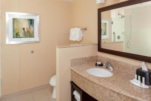 孟菲斯孟菲斯市中心万怡酒店的一间带水槽、镜子和卫生间的浴室