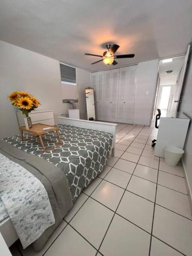 Cozy in Cabo1的一间卧室配有一张床和吊扇
