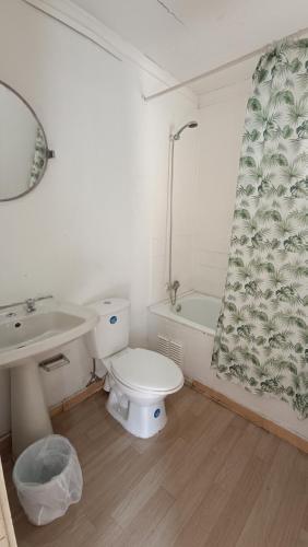 科皮亚波Residencial familiar EL Valle的浴室设有卫生间、水槽和淋浴帘