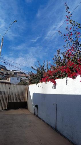 科皮亚波Residencial familiar EL Valle的墙上挂着红花的植物