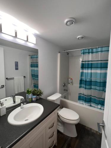 温尼伯Well furnished 1 Bedroom Basement Suite的浴室配有盥洗盆、卫生间和浴缸。