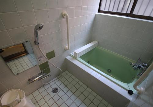 东京HIDAKA STAY VILLA 柴又的一间带绿色浴缸和卫生间的浴室